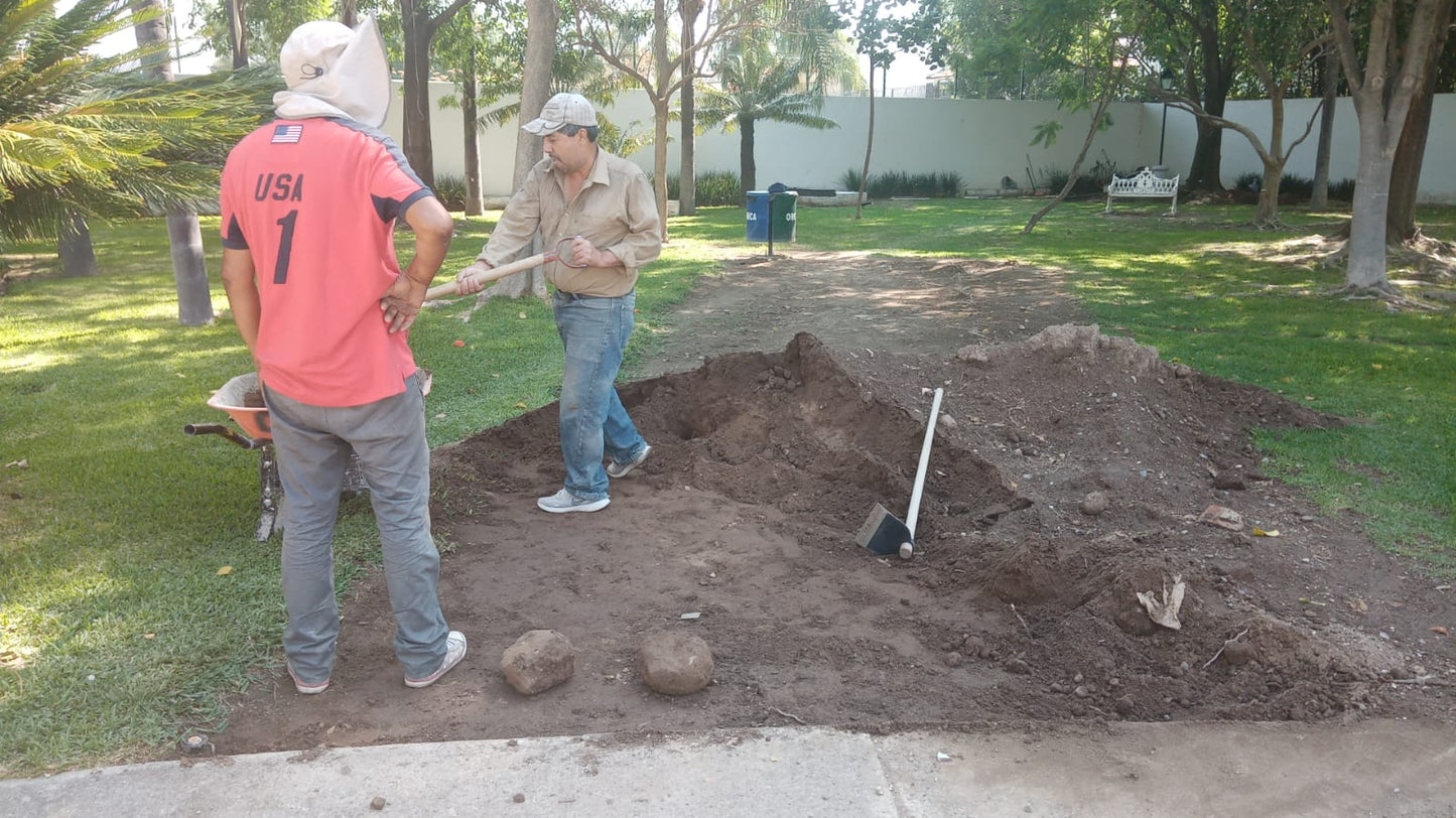 p) Renovación parque norte